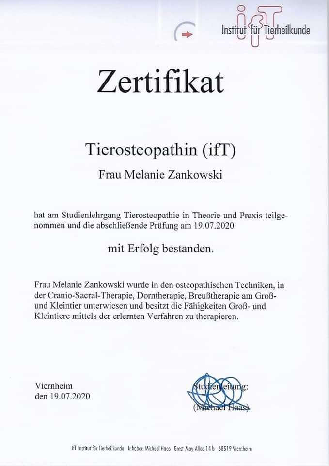 Zertifikat Tierosteopathin